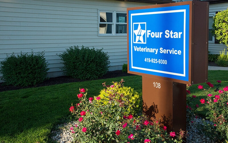 Featured image for “FSVS expands staff with three veterinarians”